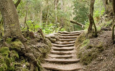 Las mejores rutas de senderismo de El Hierro